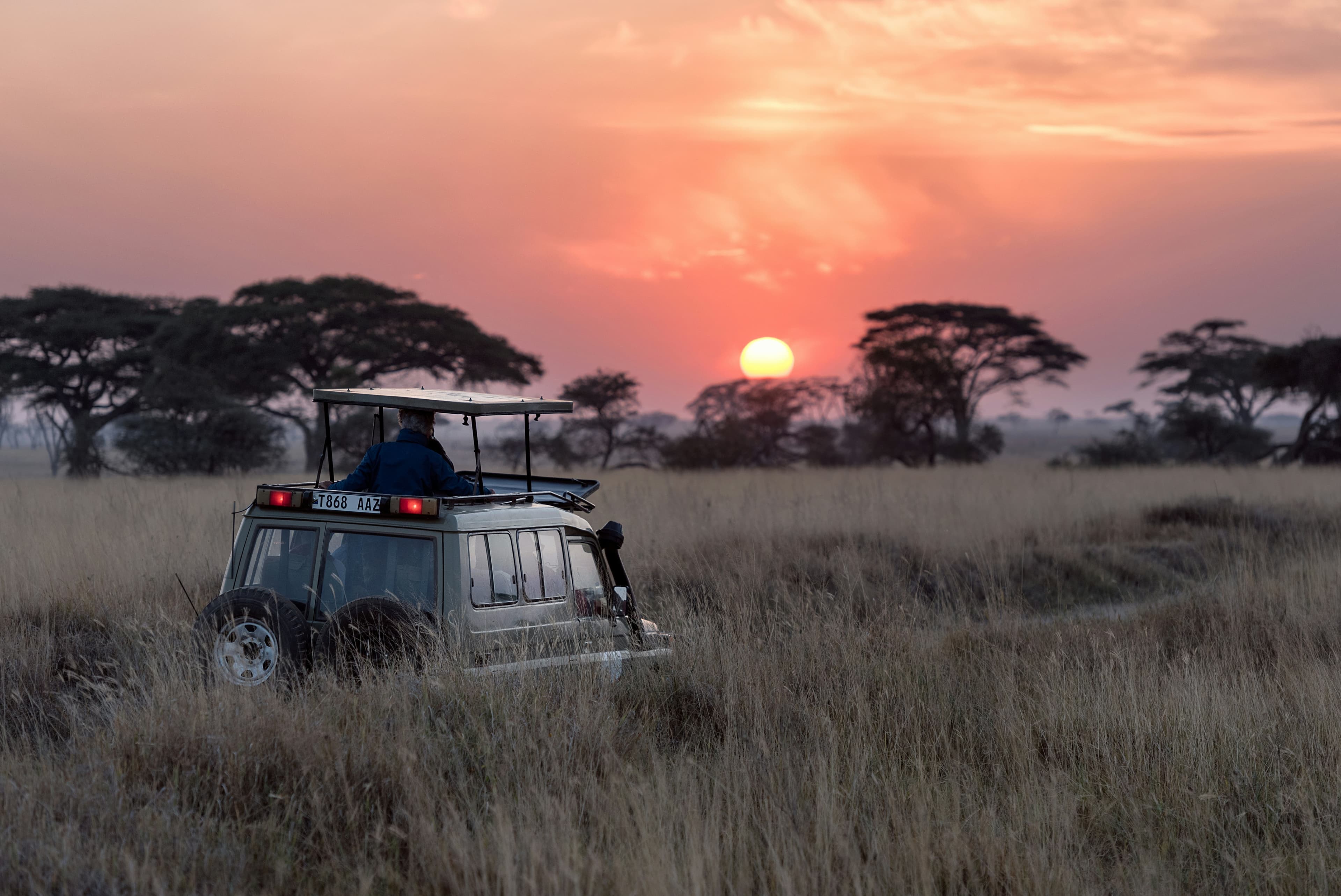 Safaris photo 8