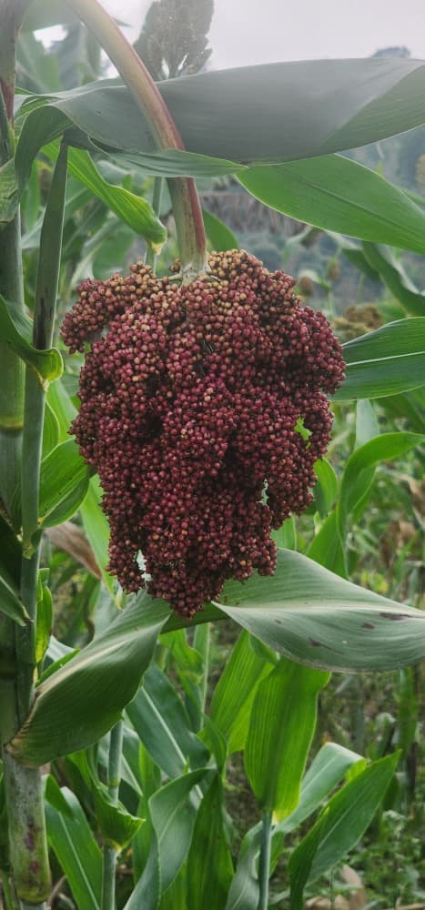 Agri-Tours photo 2