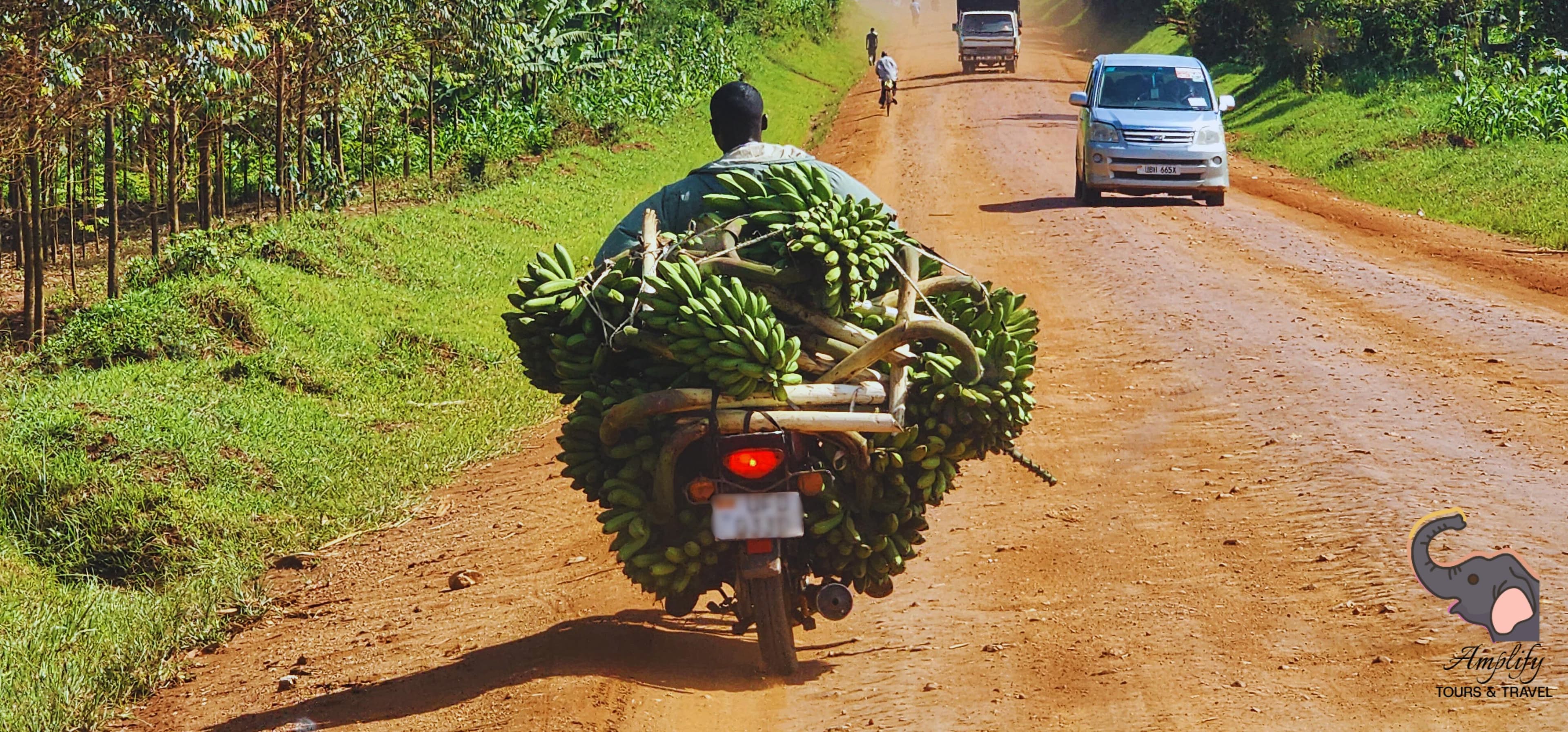 Agri-Tours – Agricultural Discovery